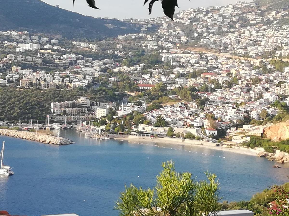 Sea View Bougainvillea 52 卡尔坎 外观 照片