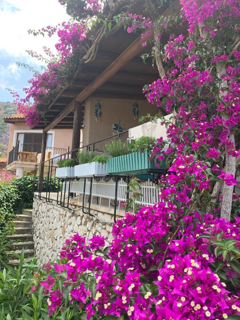Sea View Bougainvillea 52 卡尔坎 外观 照片